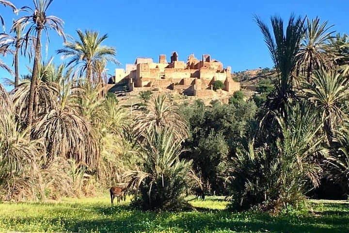 Taroudant & Tiout: Mini Marrakech Day Trip to Kasbahs and Oasis photo 5