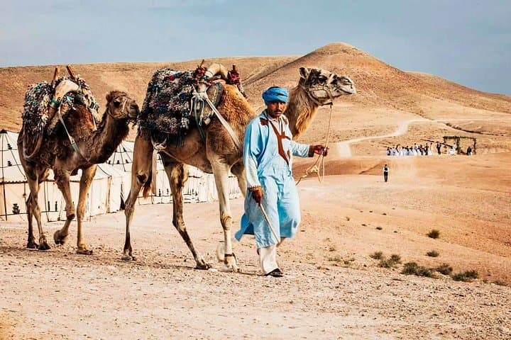 Sunset Camel Ride & Starlit Dinner in Agafay Desert (Near Marrakech) photo 6