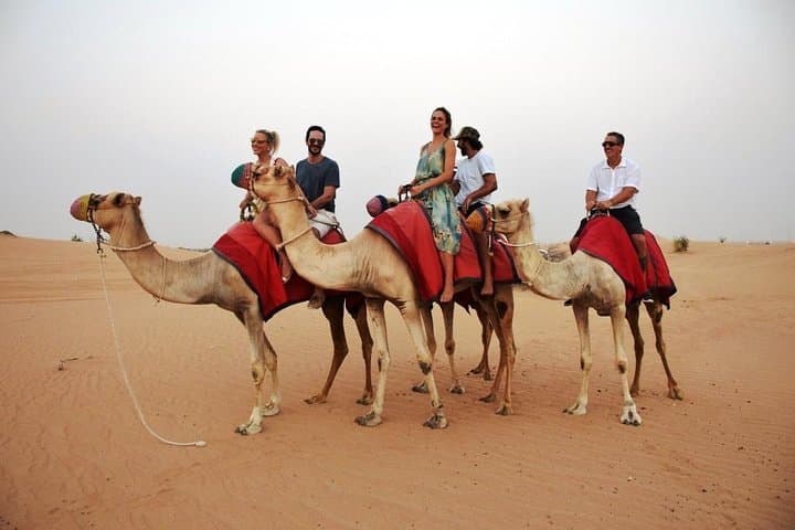 Abu Dhabi Morning Desert Safari: Camel Ride, Sand‑Boarding & Dune Bashing photo 4