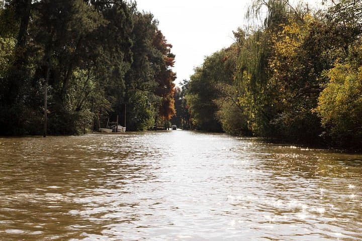 Kayak the Tigre Delta: Guided 2‑Hour Paddle and Island Break from Buenos Aires photo 4