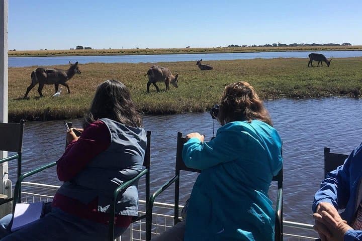 Half-Day Chobe Safari: Game Drive and River Cruise from Victoria Falls photo 4