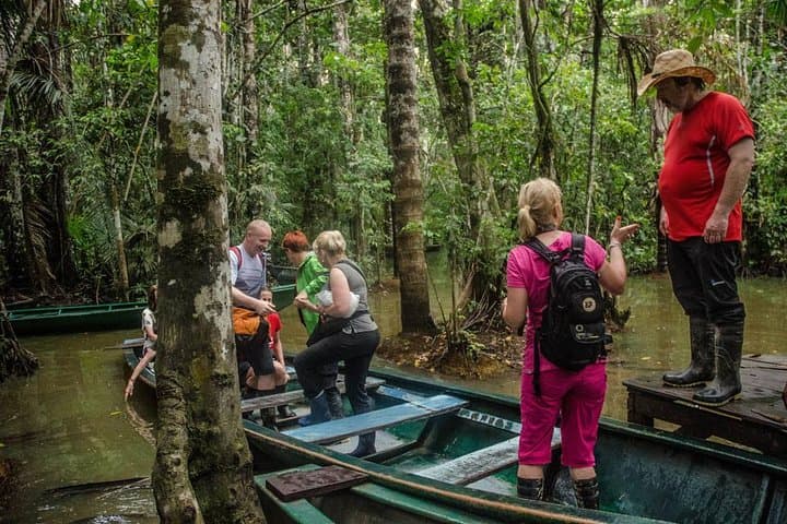 Eco Jungle: 2-Day Amazon Lodge Experience in Tambopata photo 2