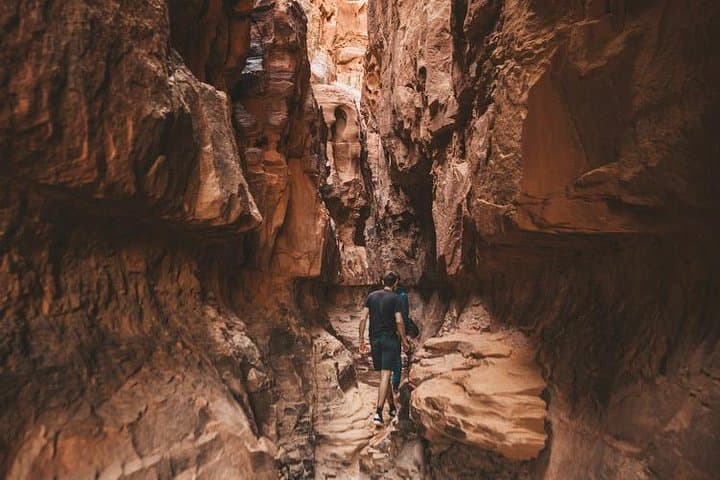 Wadi Rum Full-Day 4x4 Adventure: Dunes, Canyons & Sunset Lunch photo 3