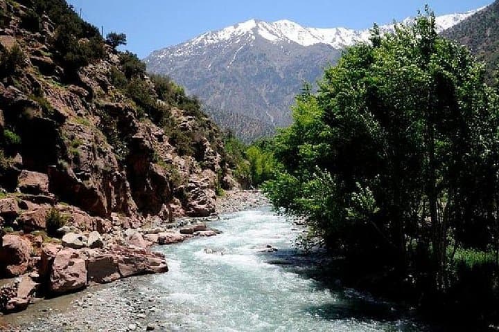 Ourika Valley Day Trip from Marrakech — Waterfalls, Berber Villages & Argan Cooperatives photo 2