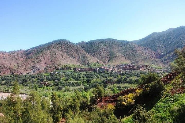 Ourika Valley Day Trip from Marrakech — Waterfalls, Berber Villages & Argan Cooperatives photo 4