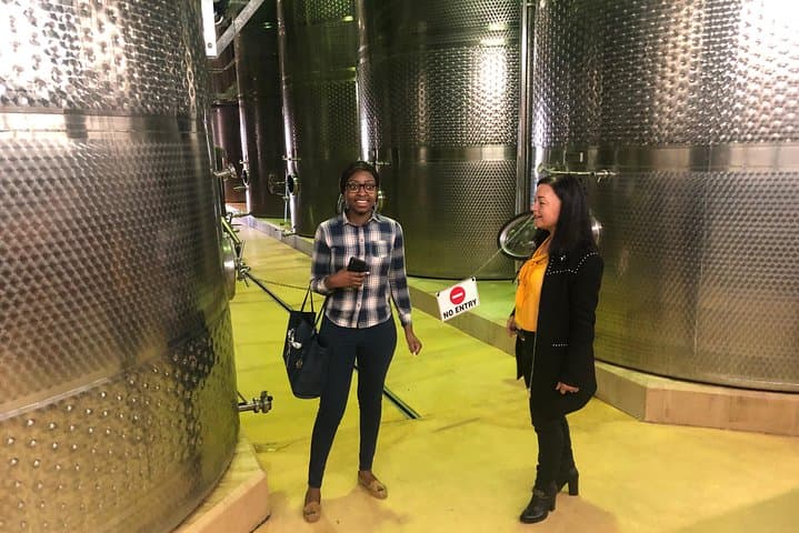 Private Durbanville Wine Tasting Tour: Top Estates & Table Mountain Views photo 6