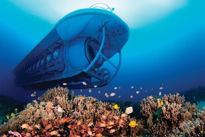 Dive Kona's Hidden Reef: Atlantis Submarine Adventure from Kona Beach photo 6
