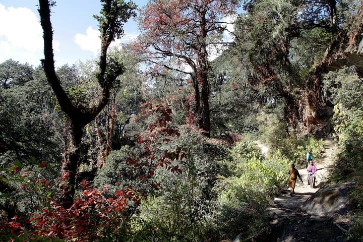 Druk Path Trek: 4-Day Paro to Thimphu Himalayan Trek photo 3