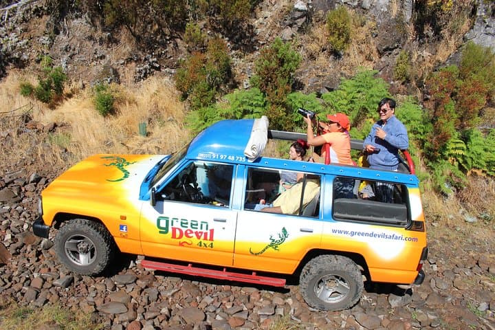 northwest-madeira-4x4-volcanic-pools-and-levadas-shore-excursion photo 4