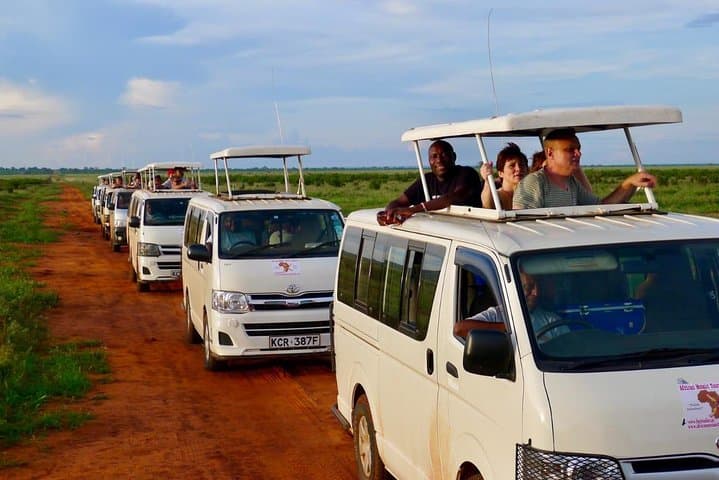 4-Day Masai Mara & Lake Nakuru Safari — Big Five, Flamingos & Rift Valley Views photo 4