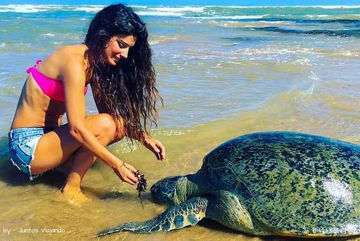 Colombo Airport to Hikkaduwa: Practical Transfer Guide & Optional Boat Safari photo 4