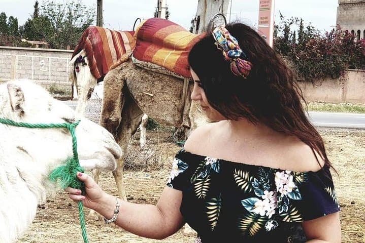 Private Camel Ride in Marrakech Palm Groves with Tea Break and Village Visit photo 5