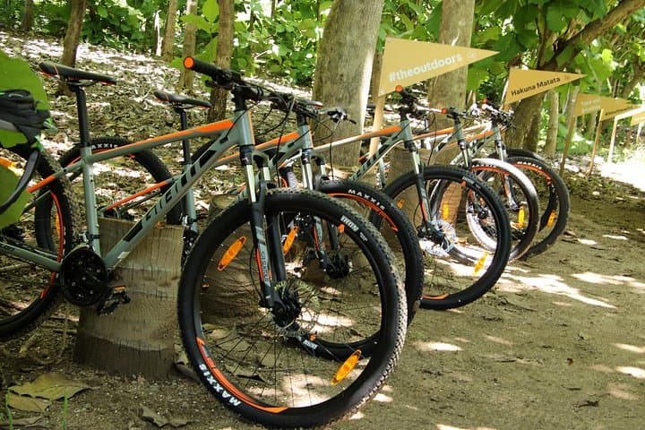 Jungle Bike Tour at Rancho El Jaguar in the Sierra Madre photo 4