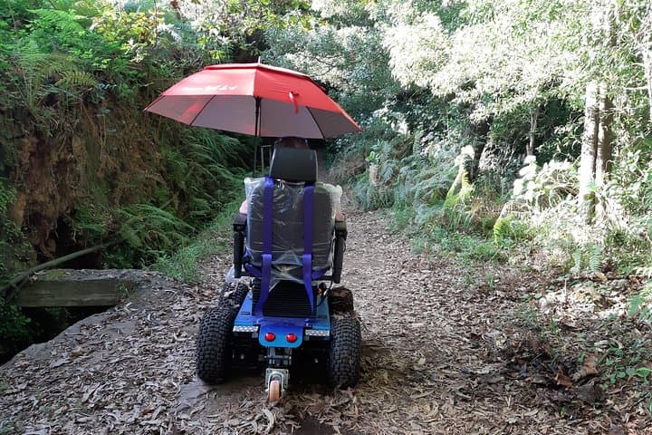 Accessible Half‑Day: Caminho das Queimadas Wheelchair Tour, Madeira photo 2