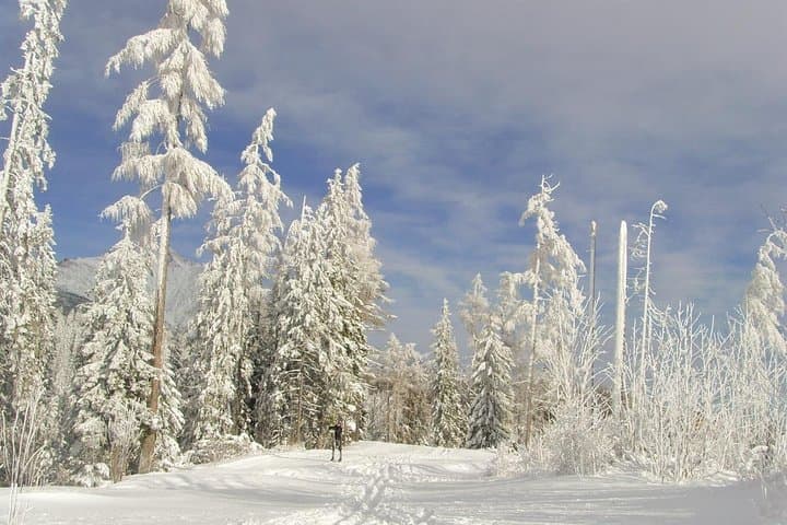 Winter High Tatras: Snow Hiking, Skiing & Thermal Baths from Kosice