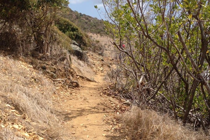 Guana Bay Coastal Hike: Scenic Eastern Shore Walk in St. Maarten photo 5