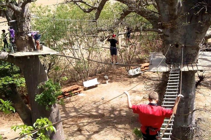 Accrobaobab Adventure: Tree-Top Park in Dakar's Baobab Forest photo 3