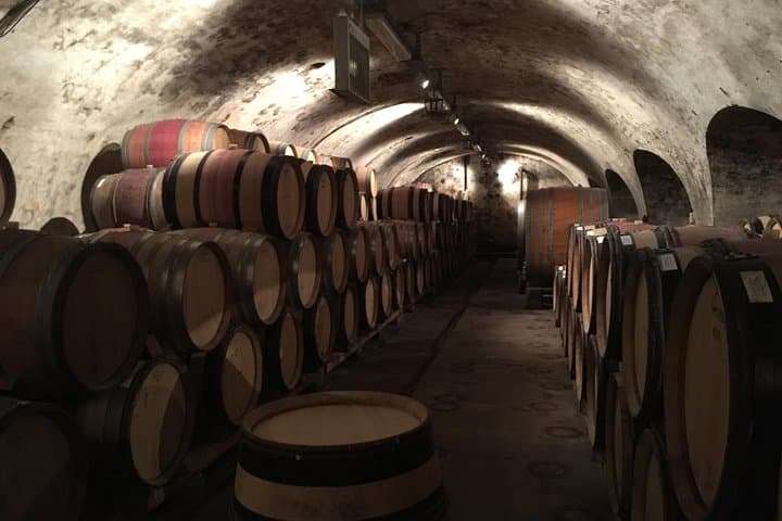 Rhein Castles & Wine Tasting Day Trip from Frankfurt photo 2