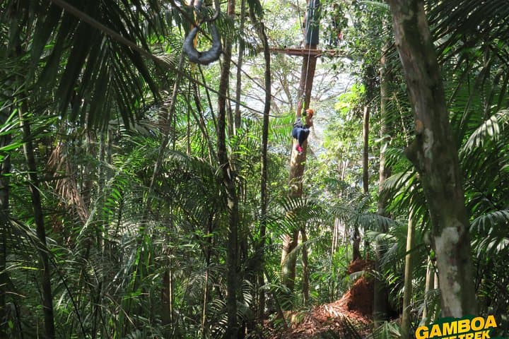 Zipline Gamboa: Glide Over the Panama Canal Rainforest Canopy photo 5