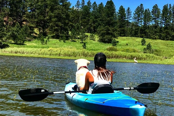Paddle Pactola: Private Kayak & SUP Morning Near Rapid City photo 5