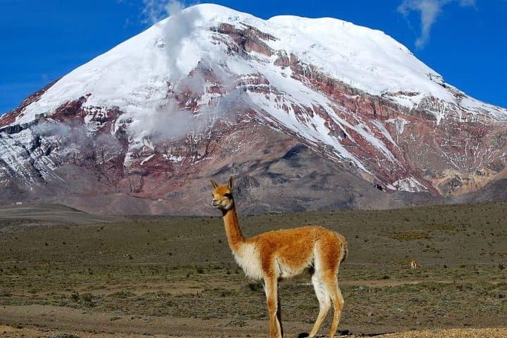 Hike Chimborazo to Laguna Condor Cocha — Day Trip from Quito