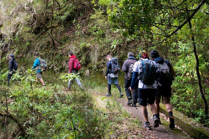 Madeira Levadas: Full-Day Hiking Through Laurissilva & Volcanic Valleys photo 3