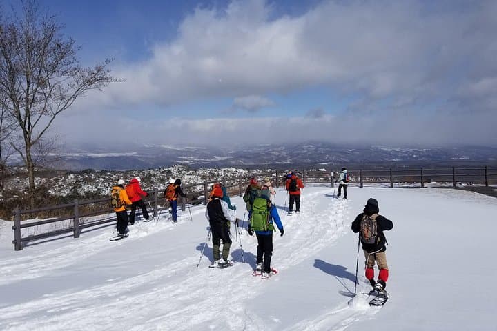 Snowshoeing Beneath Mt. Asama: Karuizawa Guided Winter Trek photo 3