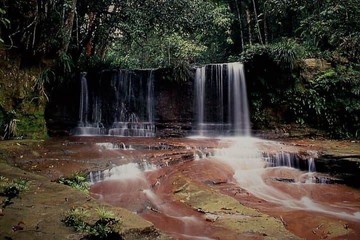 Lambir Hills Nature Excursion: Trek to Latak Waterfall, Swim & Birdwatching near Miri photo 2