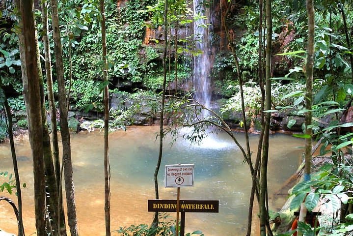 Lambir Hills Nature Excursion: Trek to Latak Waterfall, Swim & Birdwatching near Miri photo 4