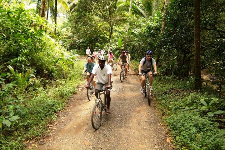 St Lucia Bike and Hike: Dennery Forest Trails & Errard Waterfall Half-Day Adventure photo 3
