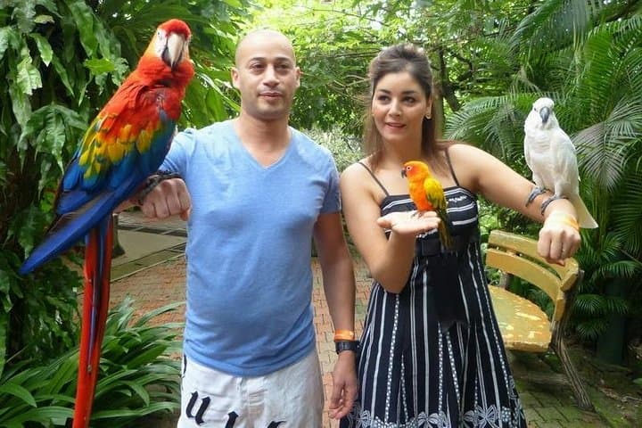 Explore Kuala Lumpur Bird Park, Butterfly Farm & Taman Orkid: A 3.5‑Hour Wildlife Walk photo 3