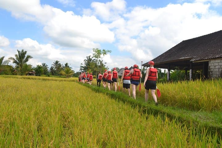 Ayung River Half-Day White-Water Rafting from Ubud — Rapids, Waterfalls & Lunch photo 2