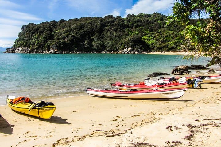 Three-Day Classic Kayaking in Abel Tasman National Park