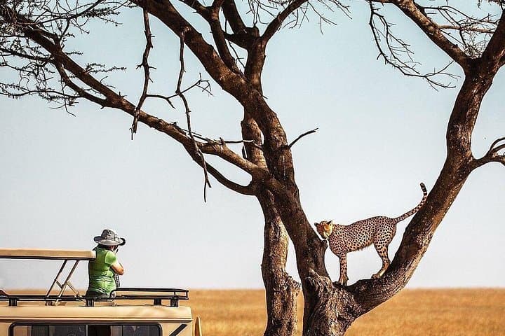 Ngorongoro Crater & Lake Manyara: 2-Day Safari from Arusha
