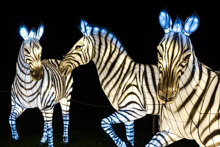 Bronx Zoo Holiday Lights: Nighttime Walkthrough & Visitor Guide photo 4