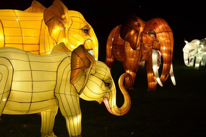 Bronx Zoo Holiday Lights: Nighttime Walkthrough & Visitor Guide photo 5