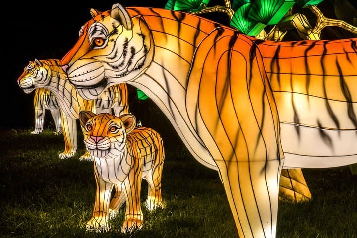 Bronx Zoo Holiday Lights: Nighttime Walkthrough & Visitor Guide