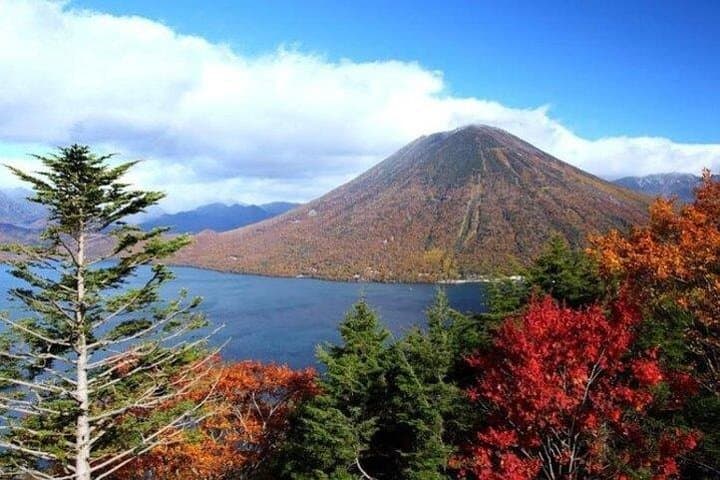 Private Full-Day Nikko Tour: Custom Itinerary with Licensed Local Guide photo 5