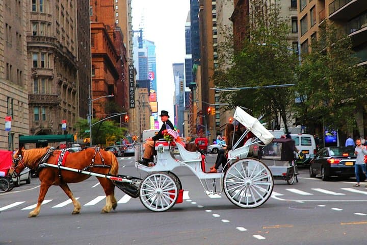Central Park Short Horse Carriage Loop — 20-Minute Ride from 59th & 6th photo 2