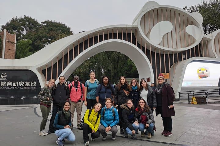 2-Day Chengdu Panda Base, Leshan Giant Buddha & Mt. Emei Small-Group Tour photo 5