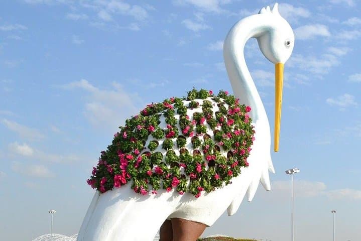 Dubai Miracle Garden: Tickets, Transfers & Practical Visitor Guide photo 5
