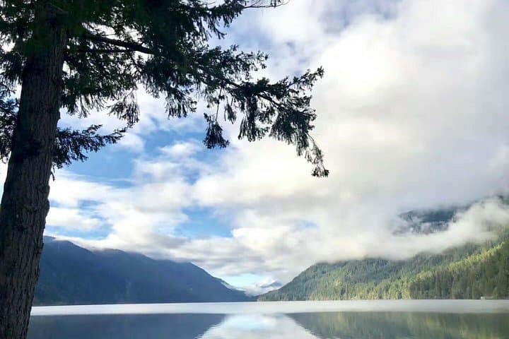 One-Day Olympic National Park from Seattle: Ferry, Hurricane Ridge & Lake Crescent