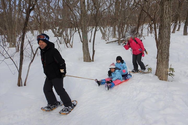 First Snow Play & Beginner Snowshoe on Nasu Plateau photo 6
