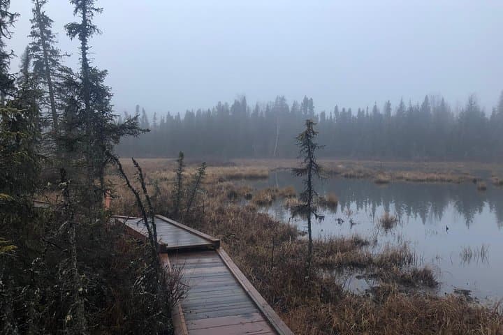 Summer Valley & Barbara Falls Hike — Eagle River Trails in Chugach State Park photo 6