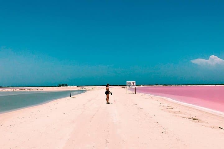 Las Coloradas & Río Lagartos Pink Lake and Wildlife Day Trip from Tulum photo 2
