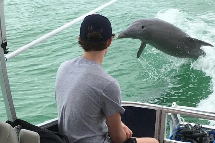 Shell Key Dolphin Cruise & Snorkel from Tierra Verde — 2-Hour Small-Group Experience