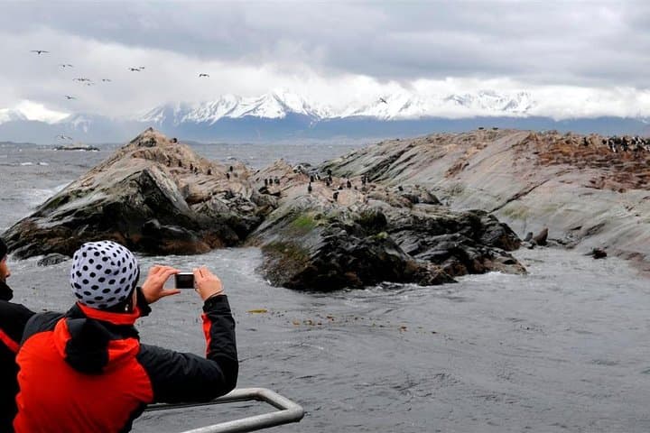 Sail the Beagle Channel to Martillo Island Penguin Colony photo 3