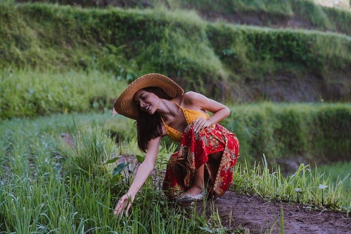 Ubud Full-Day Tour: Monkey Forest, Tegalalang & Tukad Cepung Waterfall