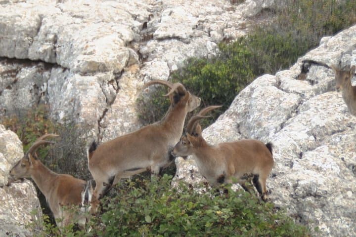 Private Guided Hike to Torcal de Antequera — Karst Trails & Local Guide photo 4