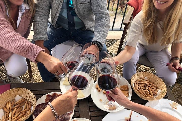 VIP Ronda Wine Tour: Private Tasting & Gourmet Lunch with Winemaker